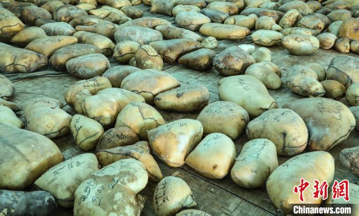 圖為茶措村牧區改革合作社用于分紅的酥油?！∷骼嗜是?攝