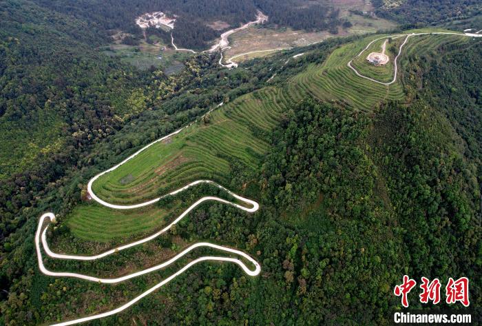 圖為西藏林芝市墨脫縣背崩鄉格林村山頂的景觀茶園。(無人機照片) 李林 攝