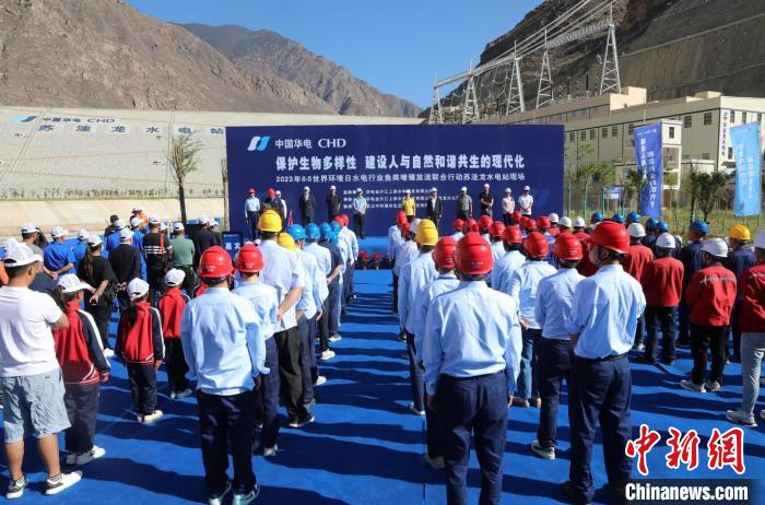 圖為蘇洼龍水電站魚類放流現場?！√K洼龍水電站供圖