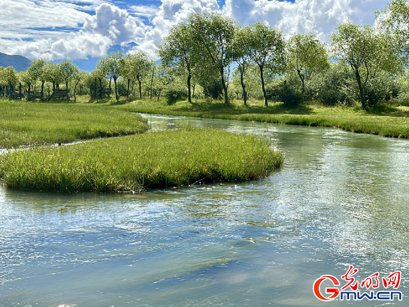 我們的家園丨【組圖】 綠水青山入畫，“金山銀山”筑起