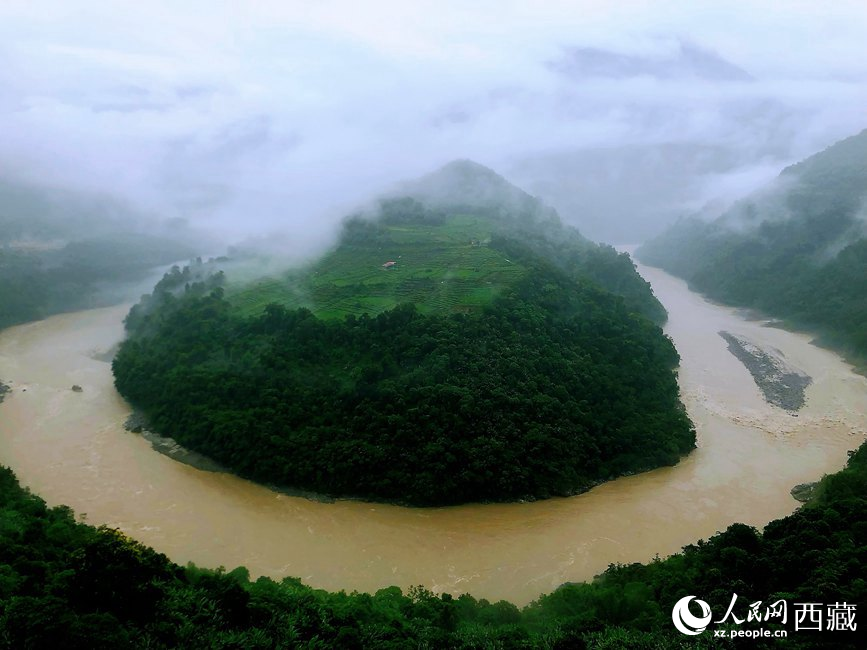 雅魯藏布江大峽谷蛇形拐彎處，山坡上種滿茶樹。