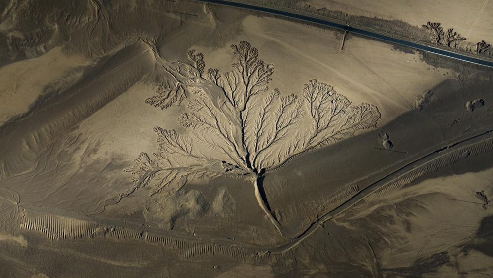無人機視角下的西藏阿里地區改則縣“大地之樹”景觀。尼瑪多吉攝