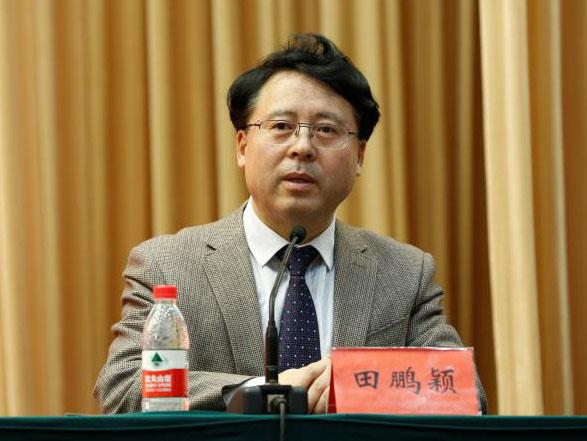 田鵬穎：投入其中、樂在其中、安身其中