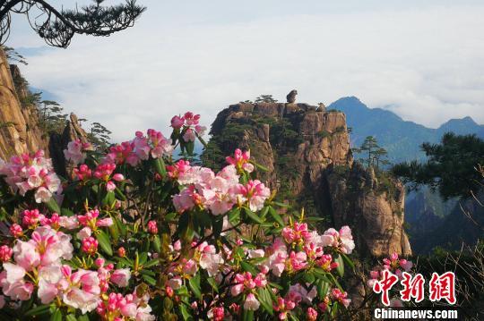 黃山風景區“五一”小長假客流、車流平穩