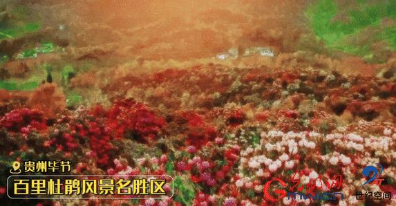 360截圖20240404140808324.jpg