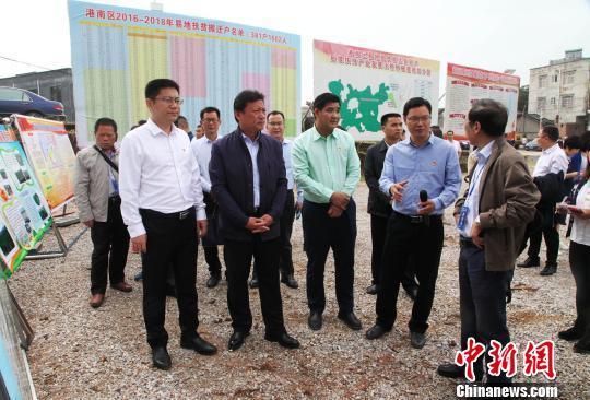 圖為嘉賓參觀廣西貴港市港南區易地扶貧搬遷貧困戶后續扶持產業發展種植基地?！钪拘?攝