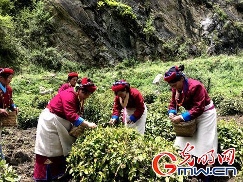 【新時代·美麗幸福新邊疆】網媒記者西藏山南行：記錄雪域變遷，描繪邊疆新顏