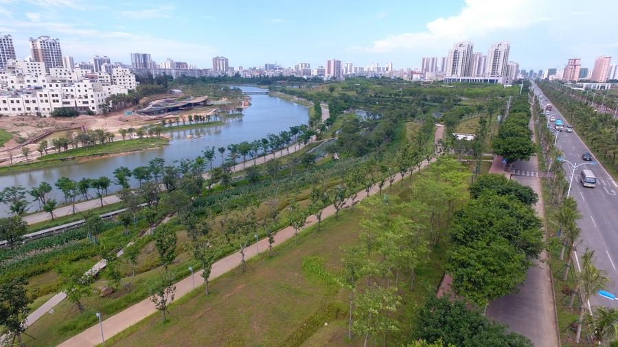【新時代·幸福美麗新邊疆】?？诿郎岷峪P翔濕地公園：把“梯田”搬到市民家門口