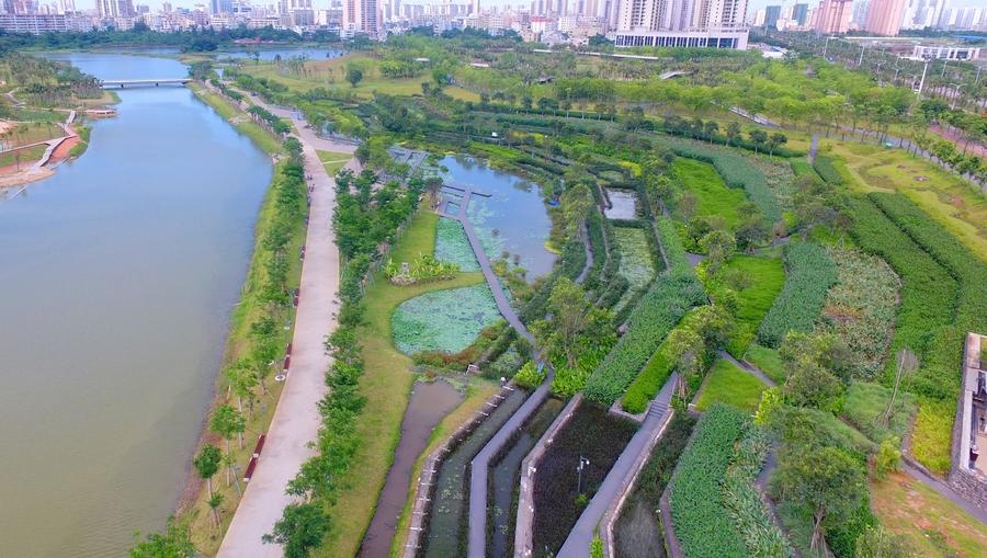 【新時代·幸福美麗新邊疆】?？诿郎岷峪P翔濕地公園：把“梯田”搬到市民家門口