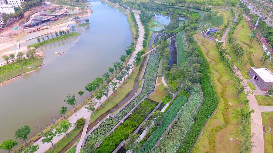 【新時代·幸福美麗新邊疆】?？诿郎岷峪P翔濕地公園：把“梯田”搬到市民家門口