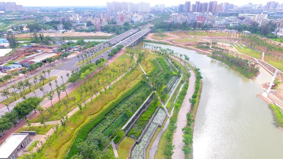 【新時代·幸福美麗新邊疆】?？诿郎岷峪P翔濕地公園：把“梯田”搬到市民家門口