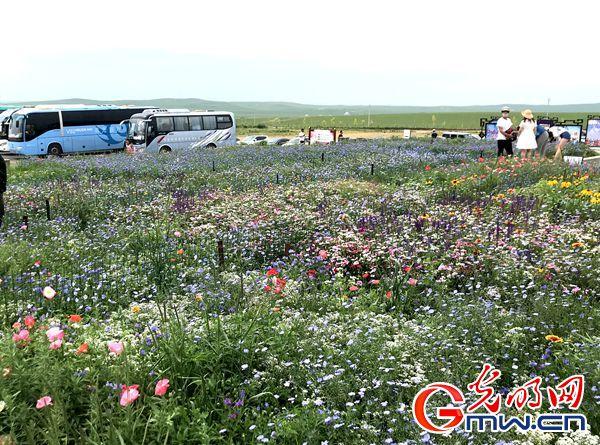 【新時代?幸福美麗新邊疆】內蒙古草原牧民樂享嶄新生活