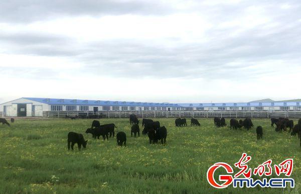 【新時代?幸福美麗新邊疆】內蒙古草原牧民樂享嶄新生活