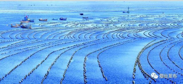 仙境海岸，鮮美煙臺！煙臺正式啟用新版城市宣傳語