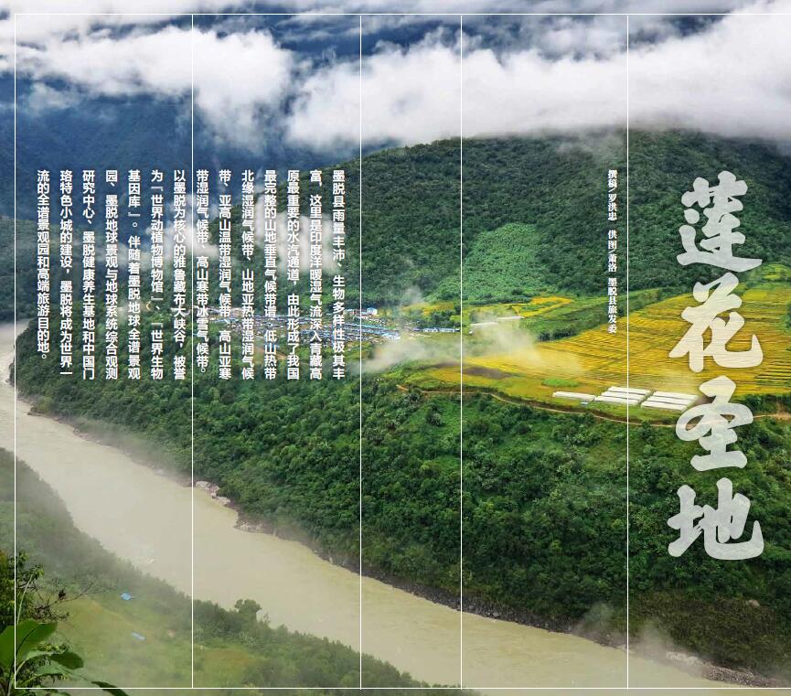 QQ截圖20181025105706.jpg