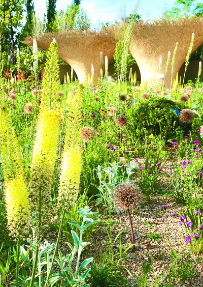 走進“新絲綢之路”花園