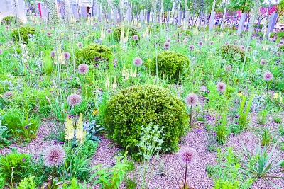 走進“新絲綢之路”花園