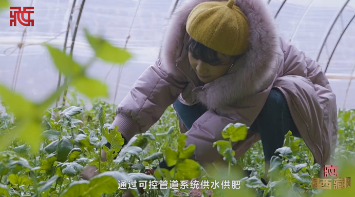 QQ瀏覽器截圖20200618150129.png