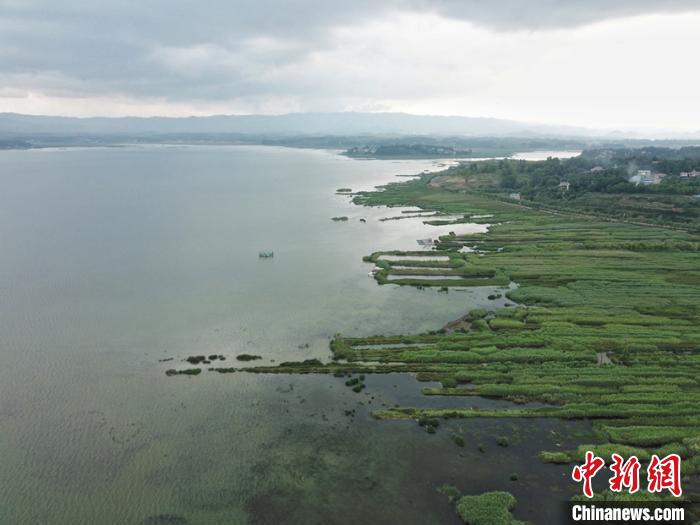 貴州22755名河（湖）長守護“兩江”屏障：“像看著自己孩子健康成長”