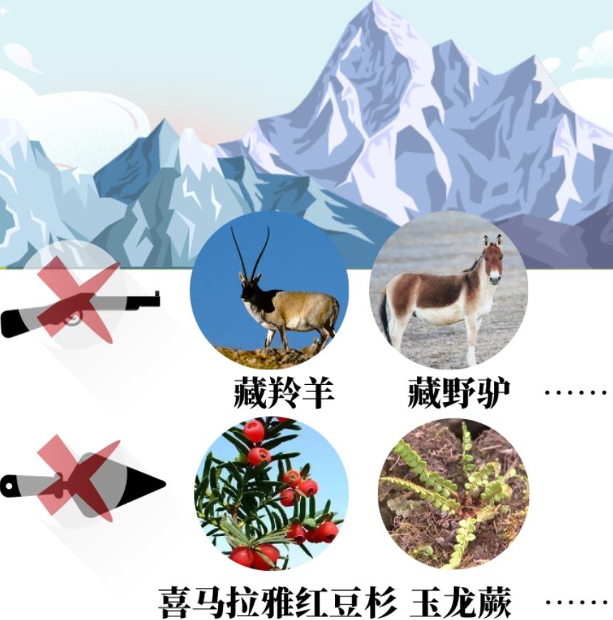 360截圖20230429185620357.jpg