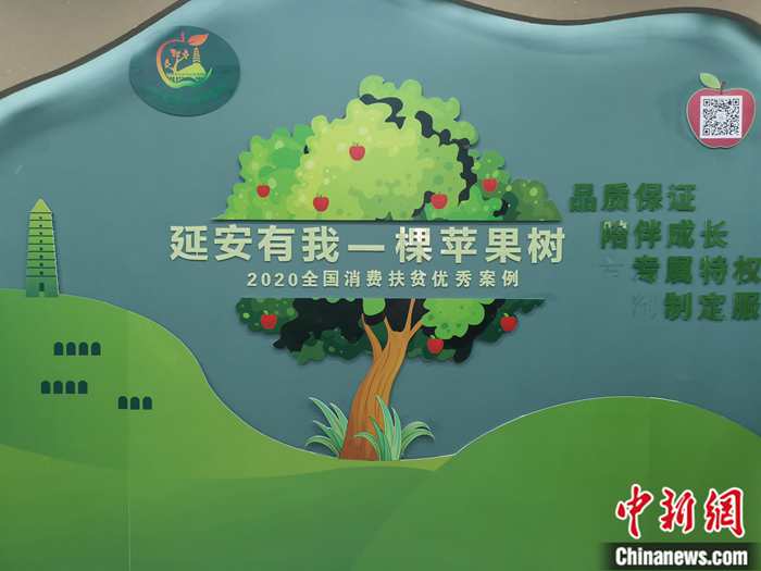 “延安有我一棵蘋果樹”。<a target='_blank'  ><p  align=