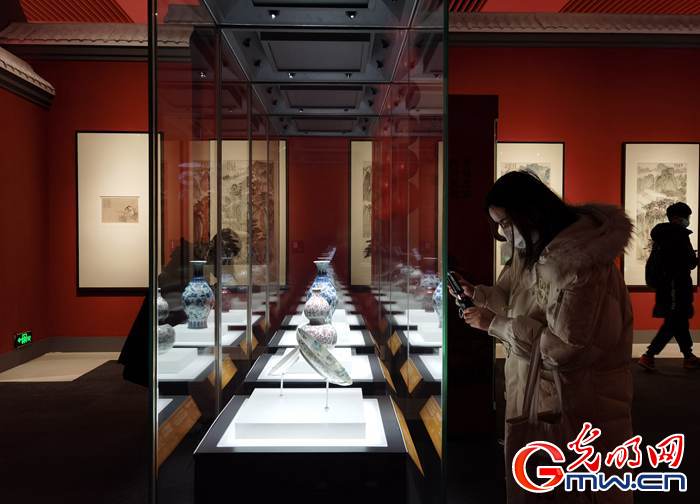 【新春走基層】視頻丨虎年看虎展！來國博感受虎文化