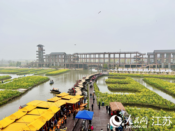 興化千垛菜花旅游節期間，游客前來打卡。人民網 王丹丹攝